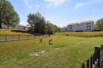 Private fenced dog park